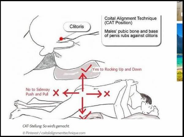 Cat position sex