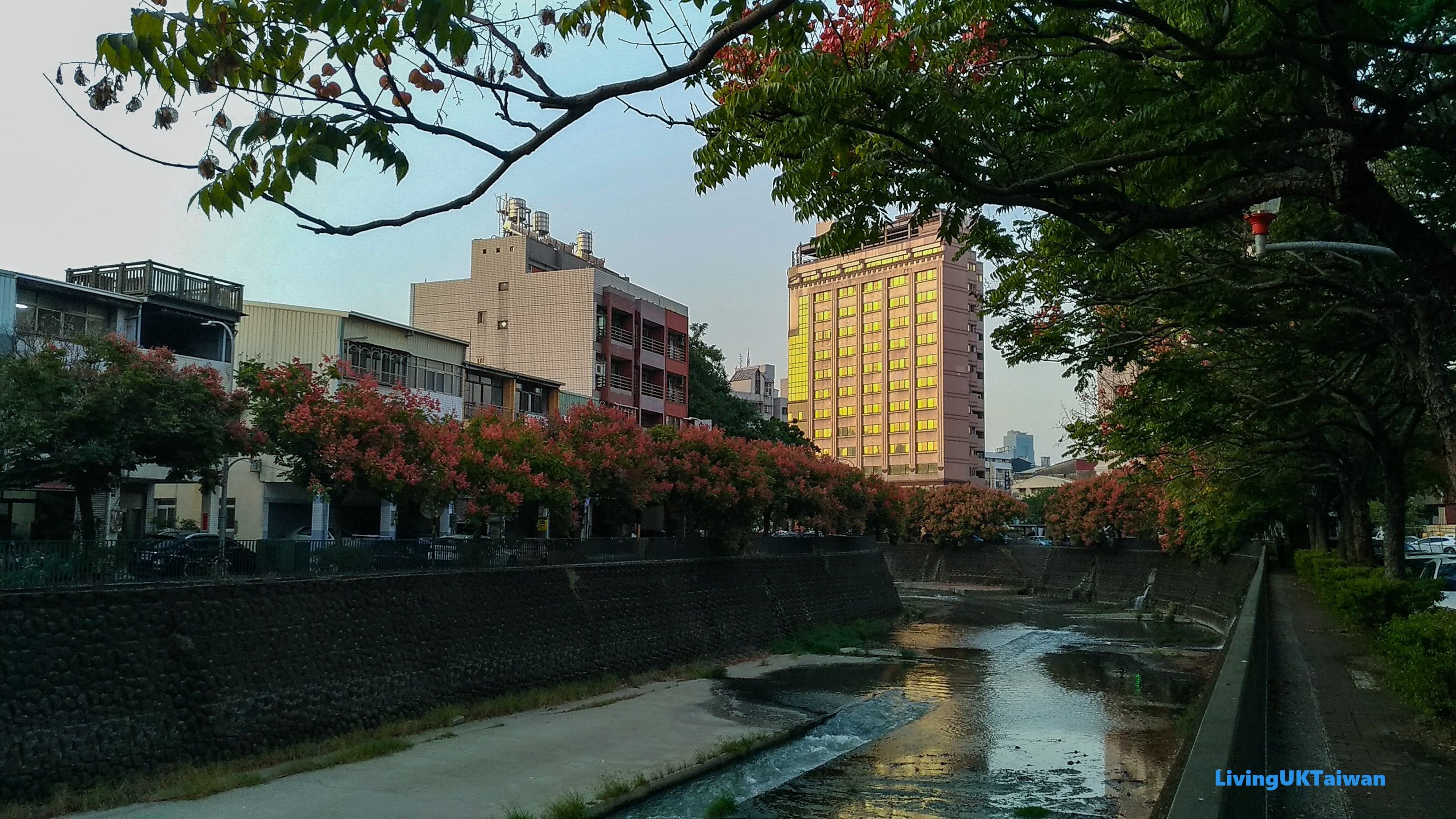 Pink autumn walk, Taiwan