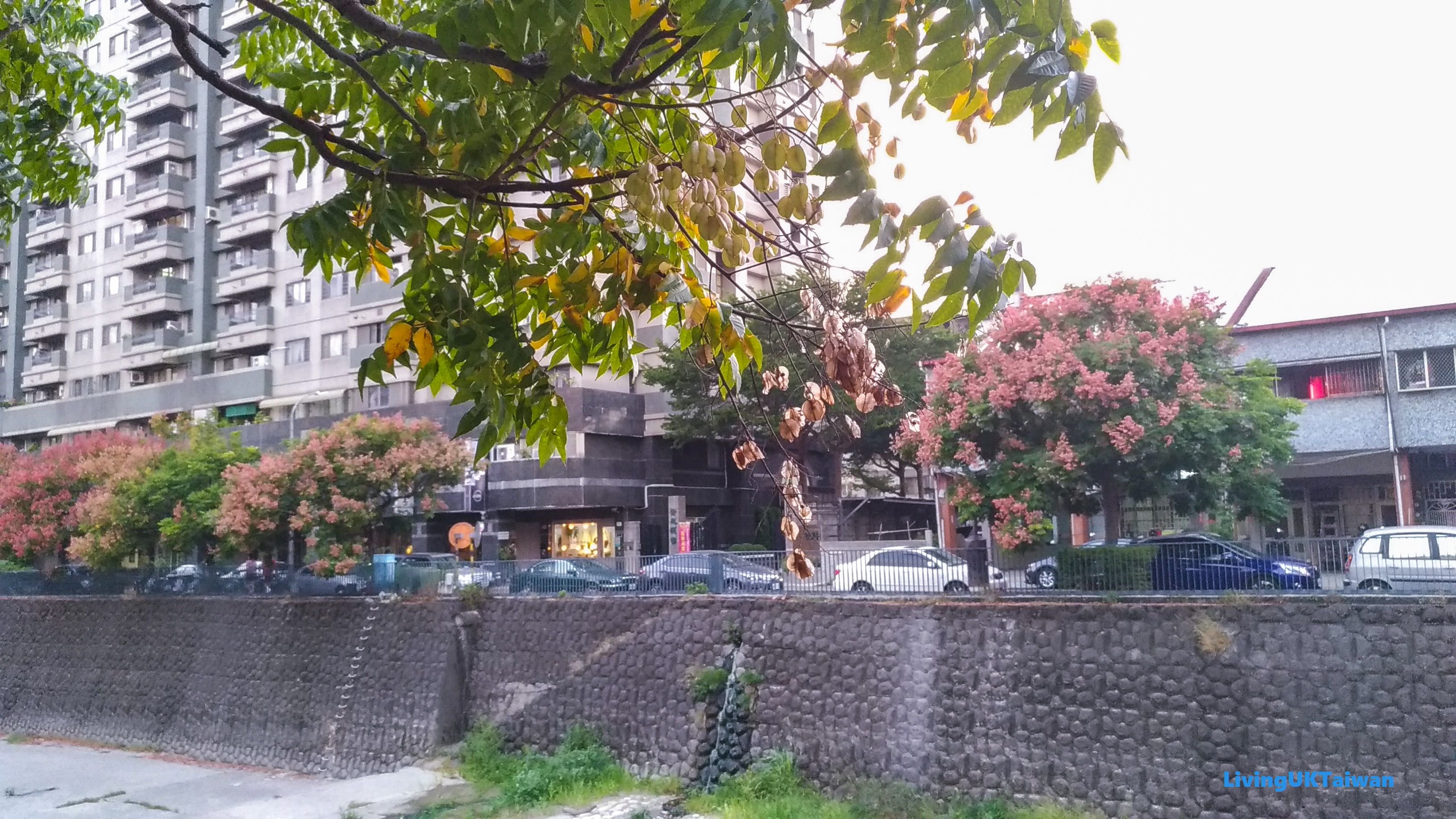 Autumn walk, Taiwan