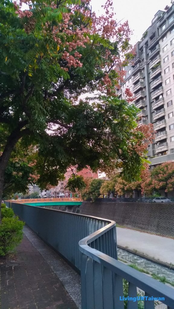 Autumn walk, Taiwan