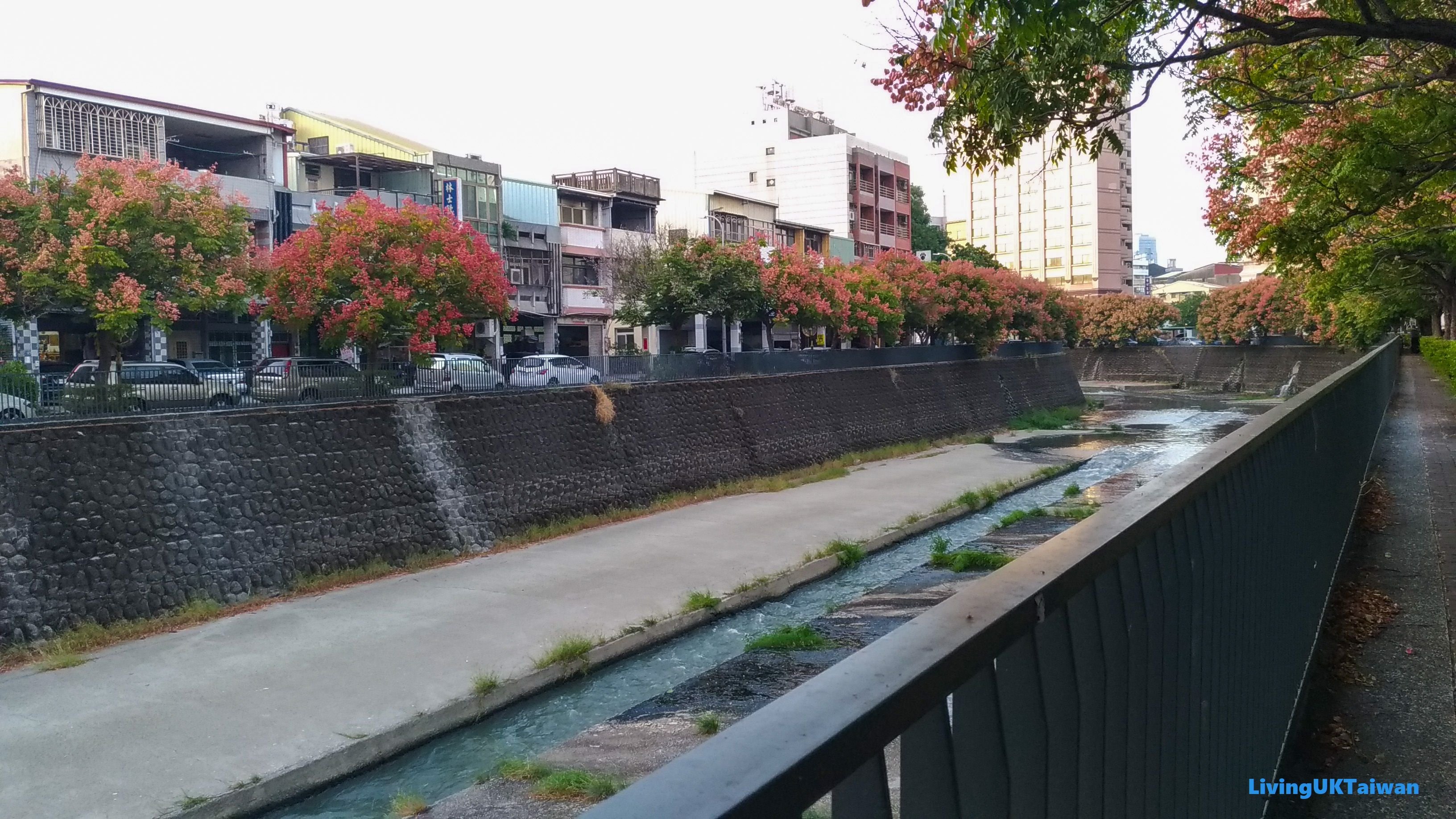 Autumn walk, Taiwan