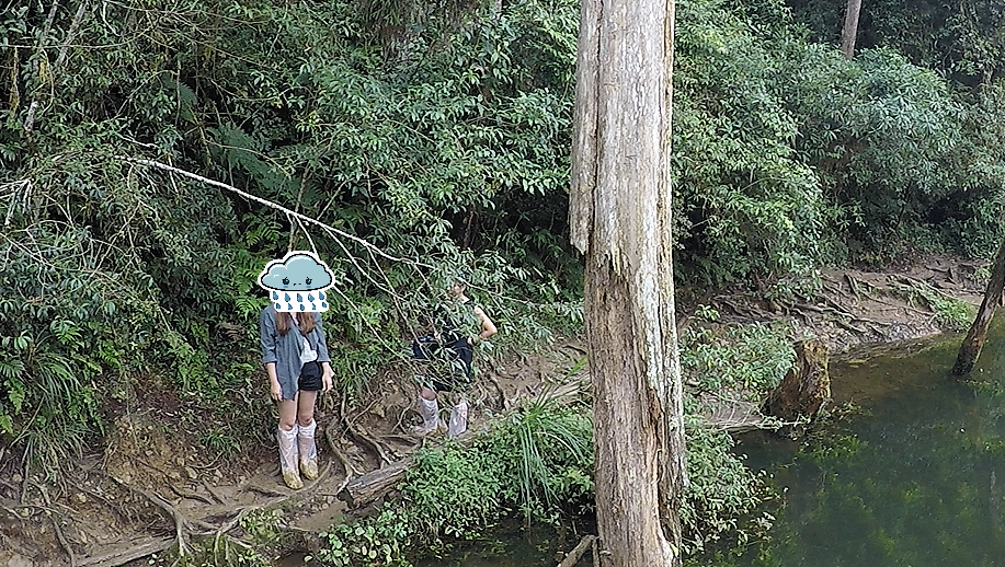 Girls wearing plastic wellies in the forest