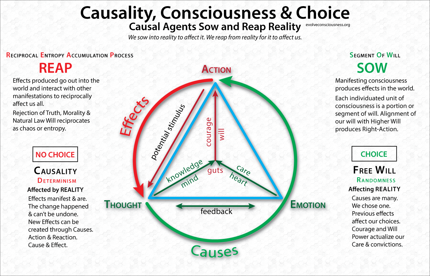 Causality-Consciousness-Choice