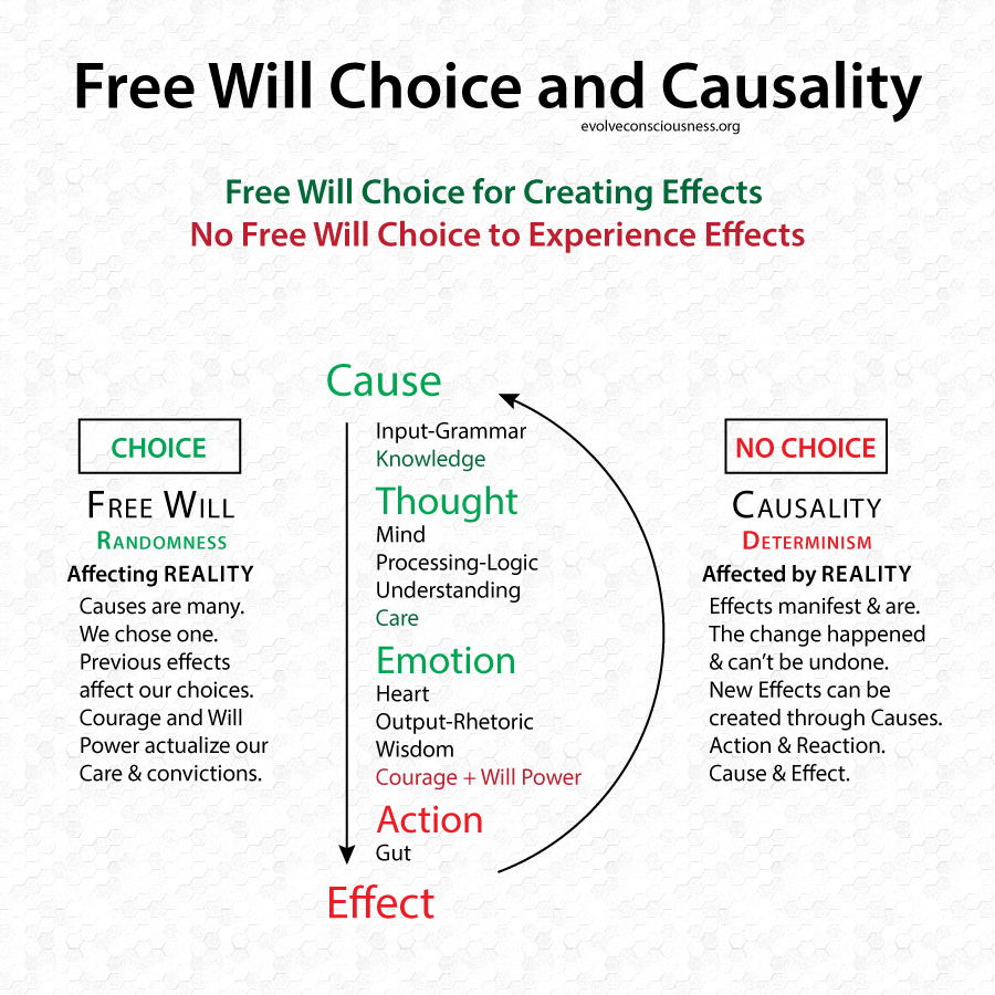 Free-Will-Choice-Causality