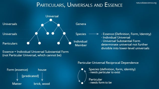 Particulars, Universals and Essence