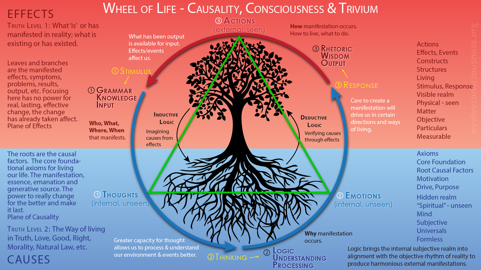 Causality-Base17-Wheel-of-Life-OG