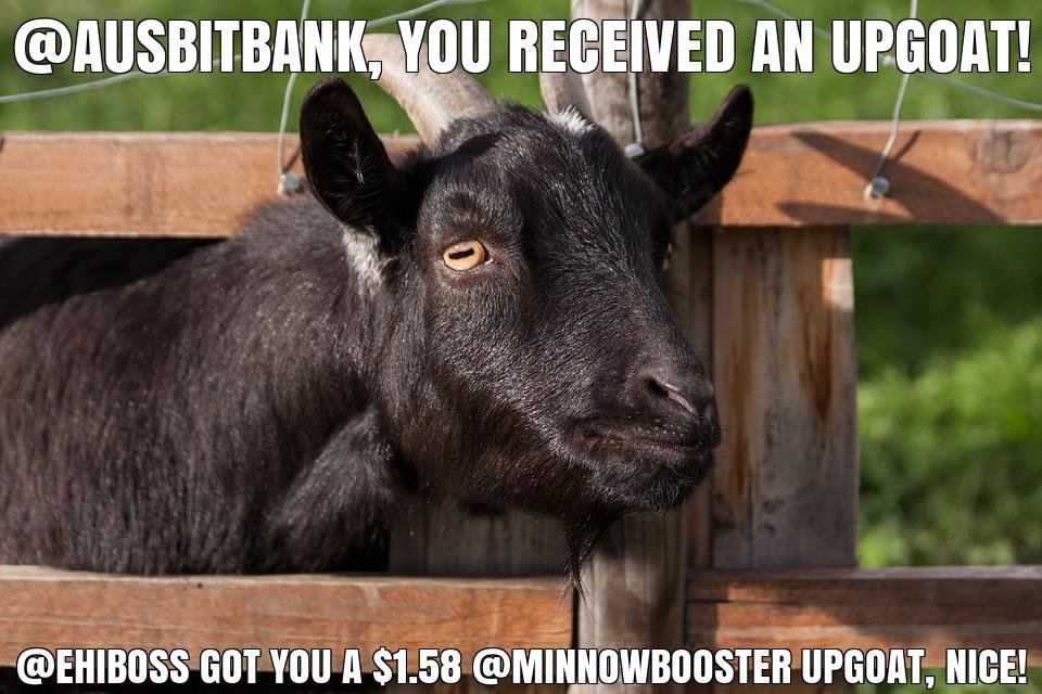 @ehiboss got you a $1.58 @minnowbooster upgoat, nice!