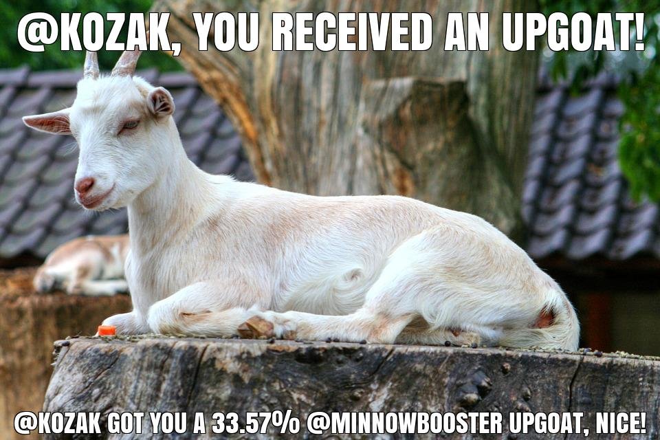 @kozak got you a 33.57% @minnowbooster upgoat, nice!