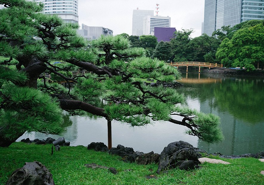 hamarikyu-9