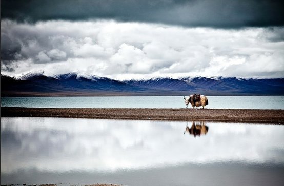 This Is My First Post Regarding Travel You Can Ask Any Question In Comments Bellow I Will Answer As Best And This Is My First Post Regarding Travel You Can Ask Any Question In Comments Bellow I Will Answer As Best And