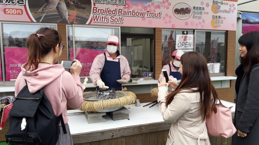 A Rainy Day at the Shiba-sakura Festival, Japan!