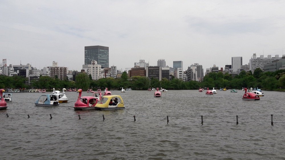 A Day at the Ueno Zoo in Tokyo, Japan!