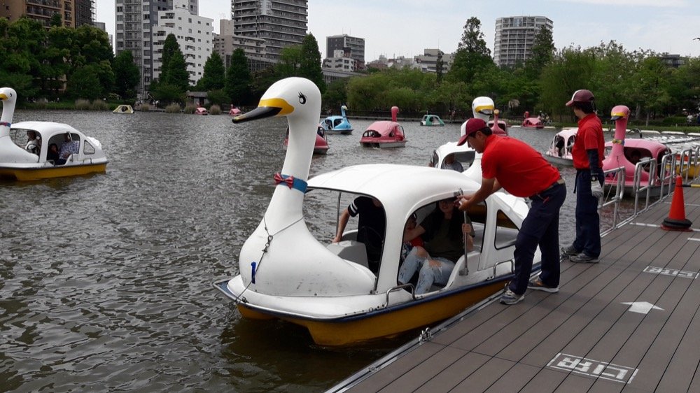 A Day at the Ueno Zoo in Tokyo, Japan!