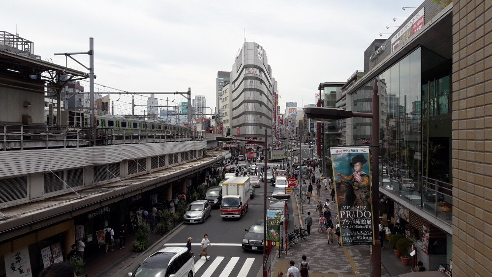 A Day at the Ueno Zoo in Tokyo, Japan!