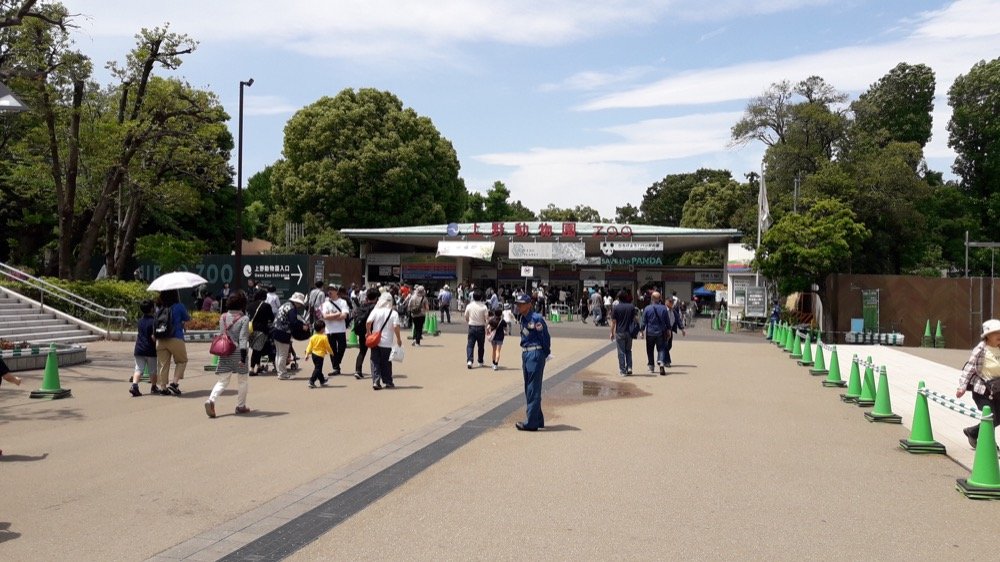 A Day at the Ueno Zoo in Tokyo, Japan!