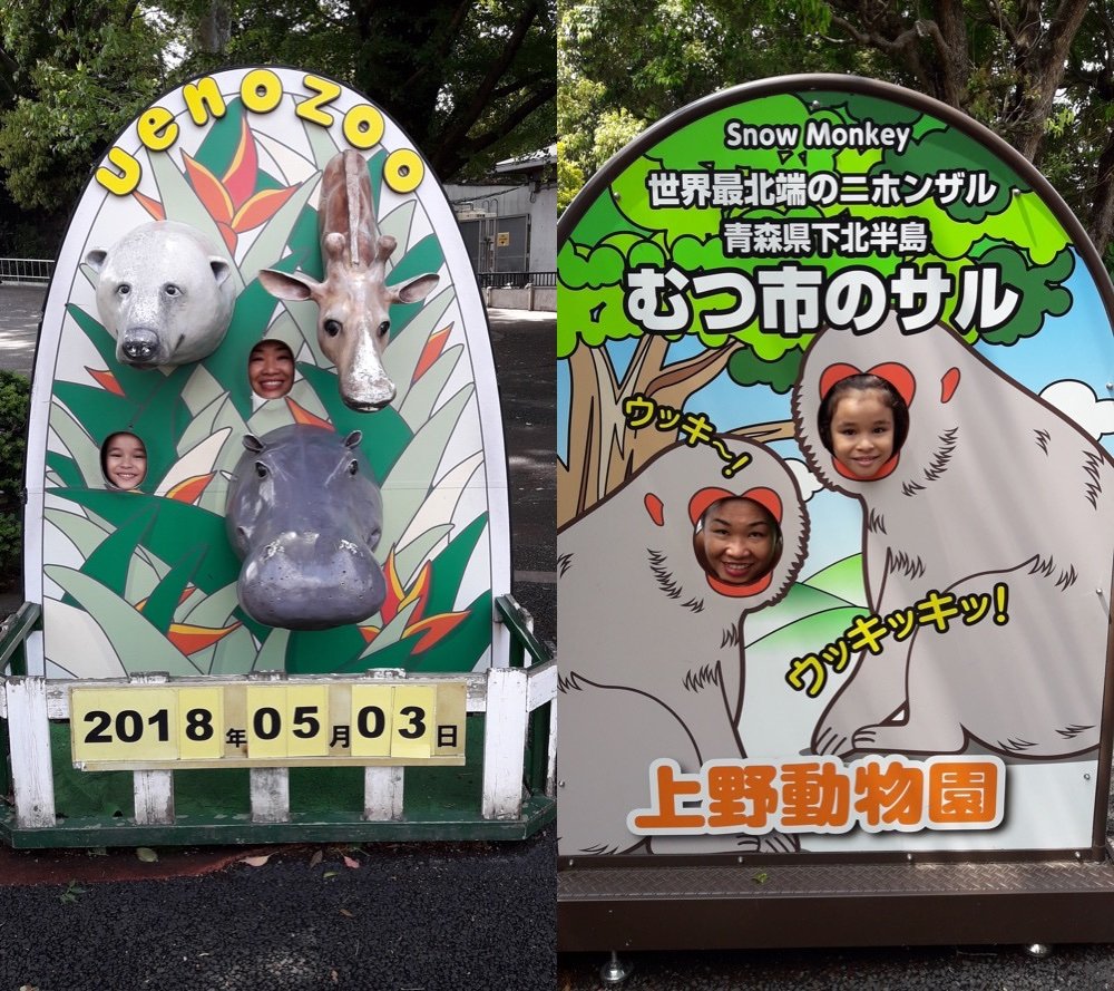 A Day at the Ueno Zoo in Tokyo, Japan!