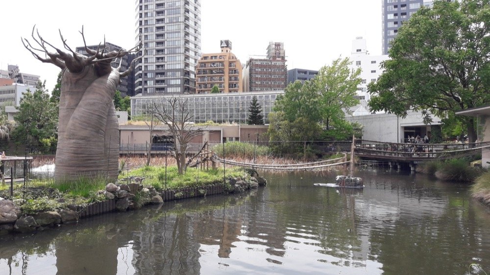 A Day at the Ueno Zoo in Tokyo, Japan!