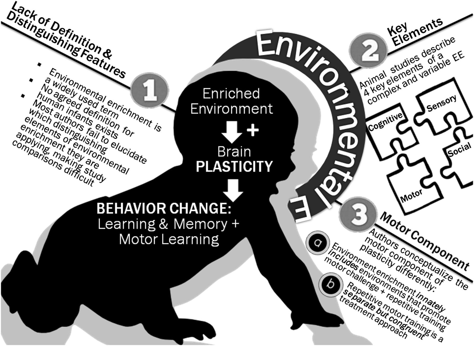 neural-plasticity-its-influence-on-children-s-learning-through-play