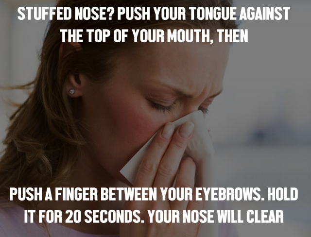 myrandomdailyfact 2 how to