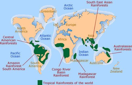 Tropical Rainforests And Deforestation A Lesson With Activities