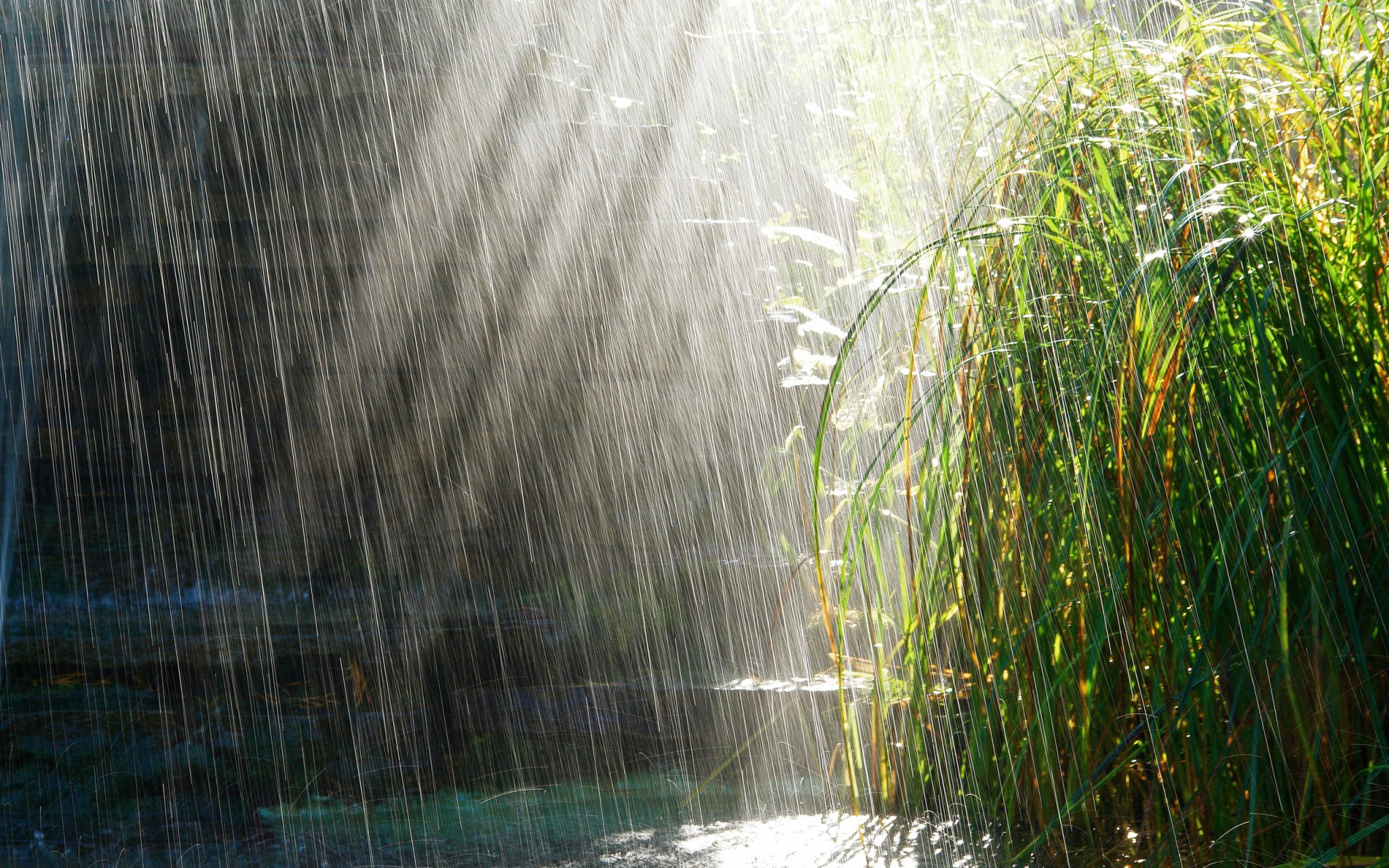 Interesting rain Interesting rain
