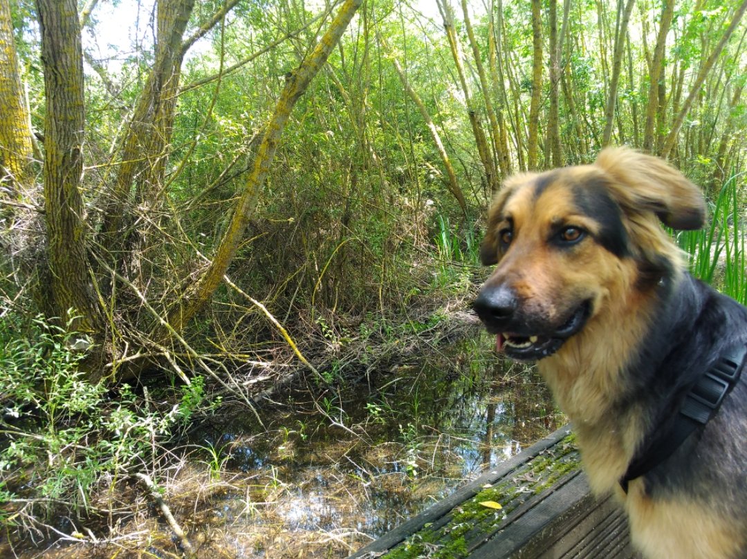 2f1c454d-6b9f-400a-90f9-25135397cf8d.jpeg