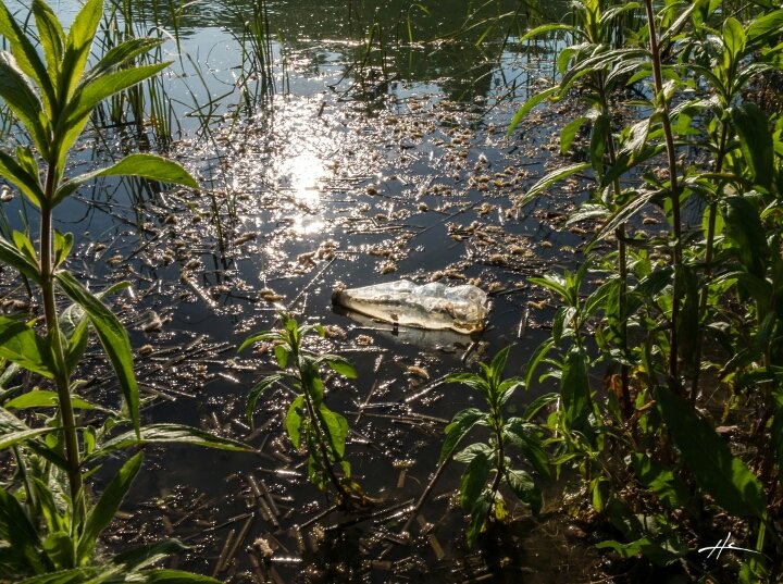 Plastic water pollution. Photo by Héctor Corcin