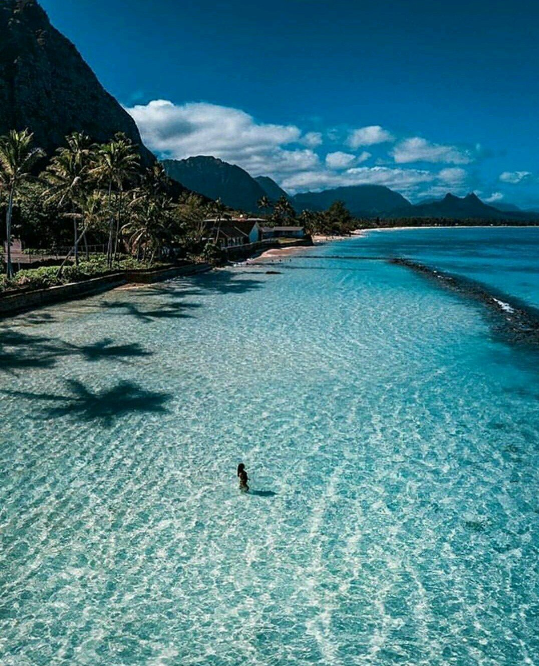 Crystal Clear Water In The Shore Of Hawaii Steemkr