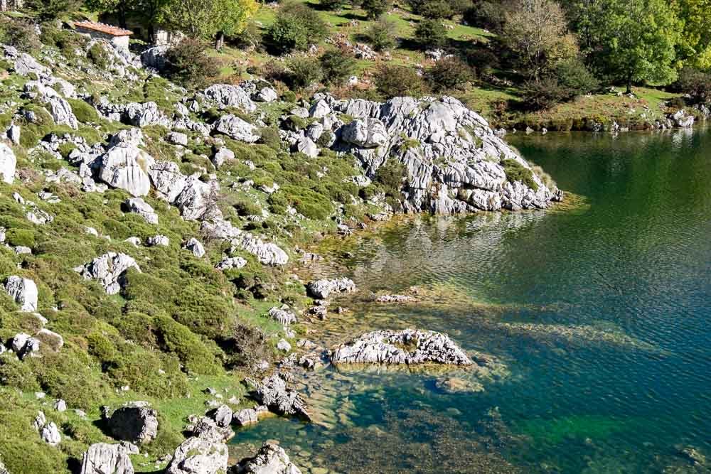 Covadonga Lake Enol Shore