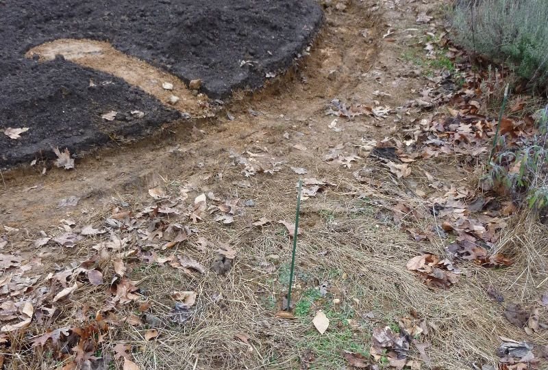 the dug central circular path