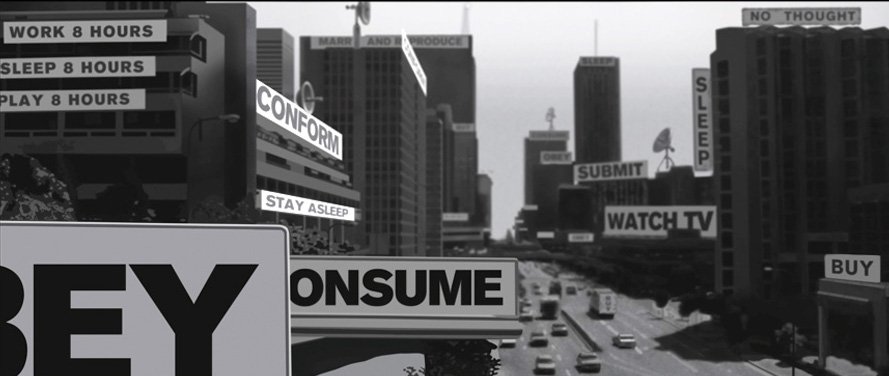 they live