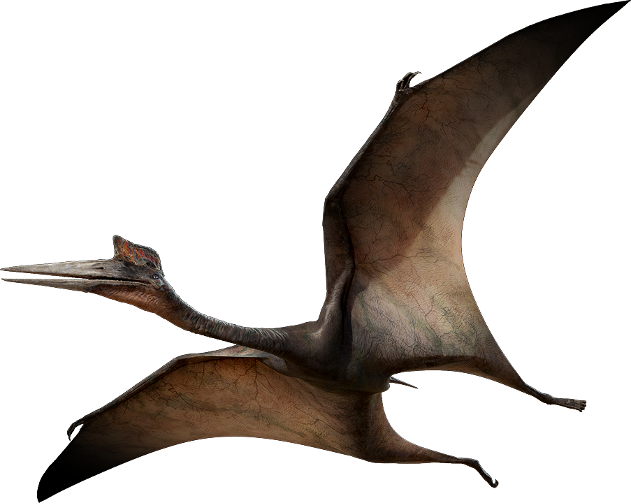 flying dinosaurs that start with a