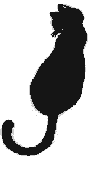 animated-cat-image-0514