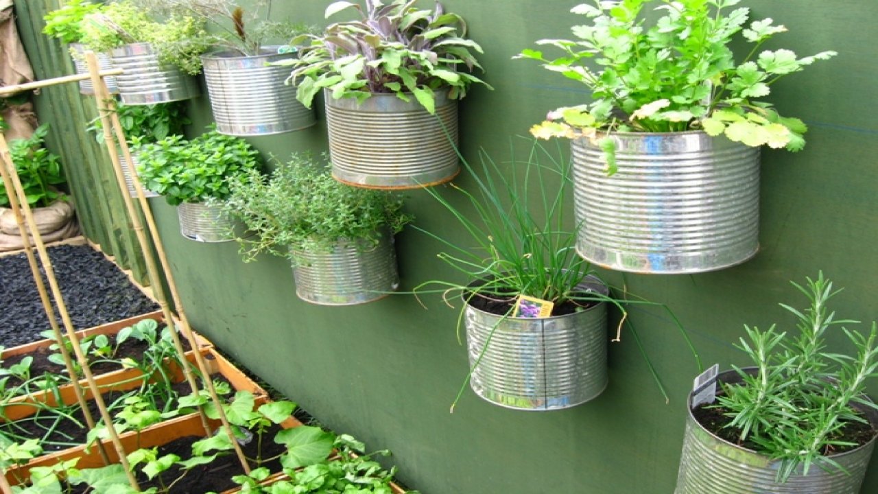 Home Vegetable Gardening Steemit In His Own Experience The Author Has Found That Garden Books While Seldom Lacking Information Often Do Not Present It Clearest Possible Way