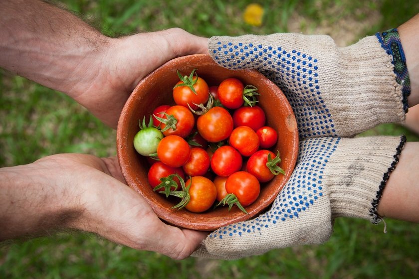 farmers