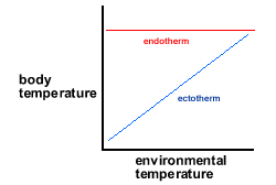 endotherm ectotherm
