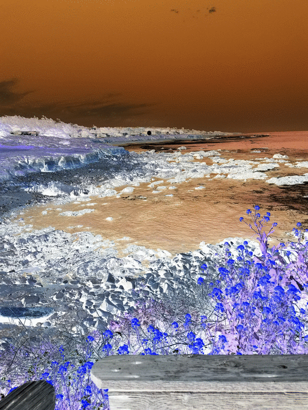 Trippy Illusion And Beautiful Photo Of Moonstone Beach California — Steemit