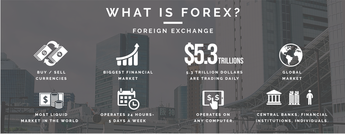 Forex gym