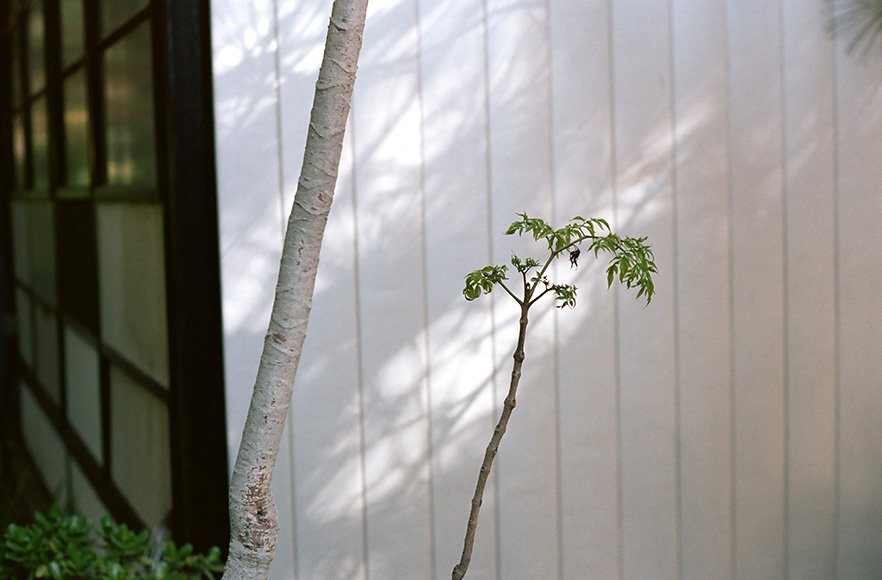 eames-house-mrmrobinson-7