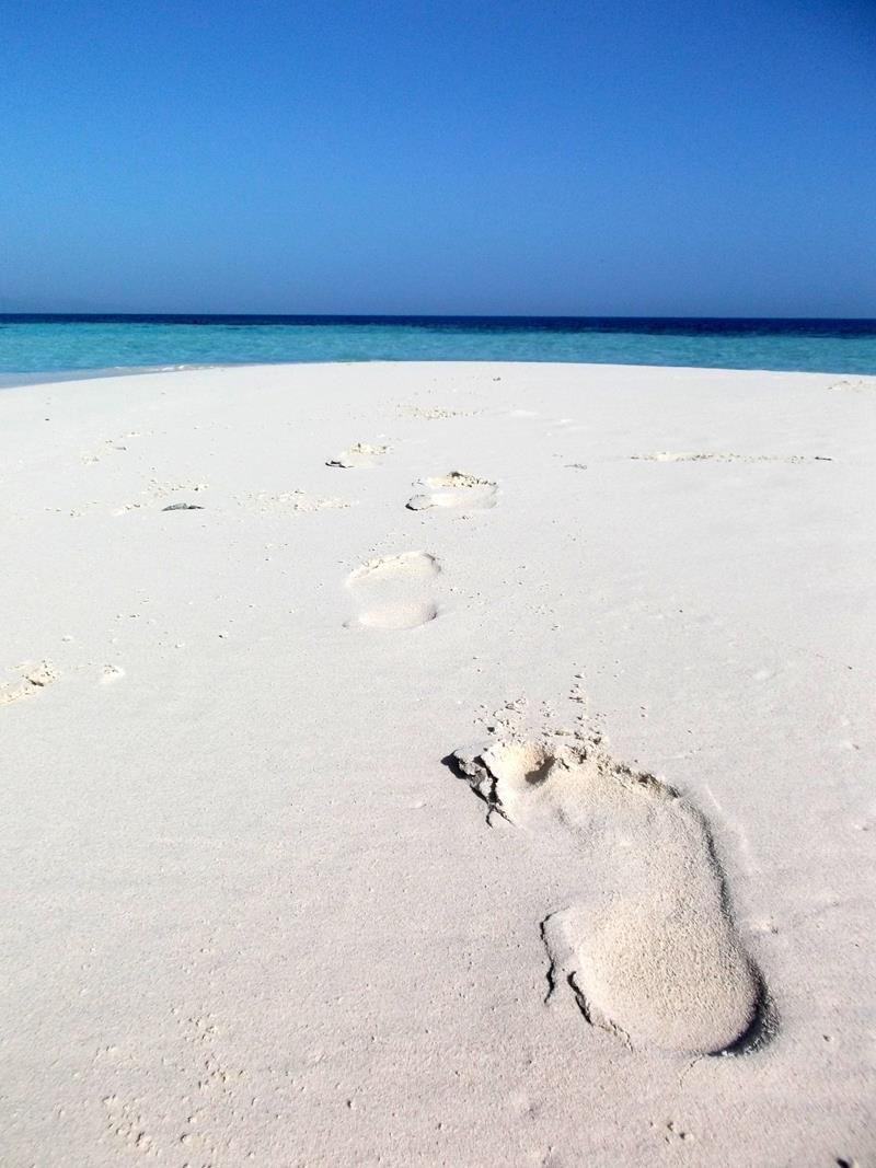 dominikanische_republik_006_cayo_arena.jpg