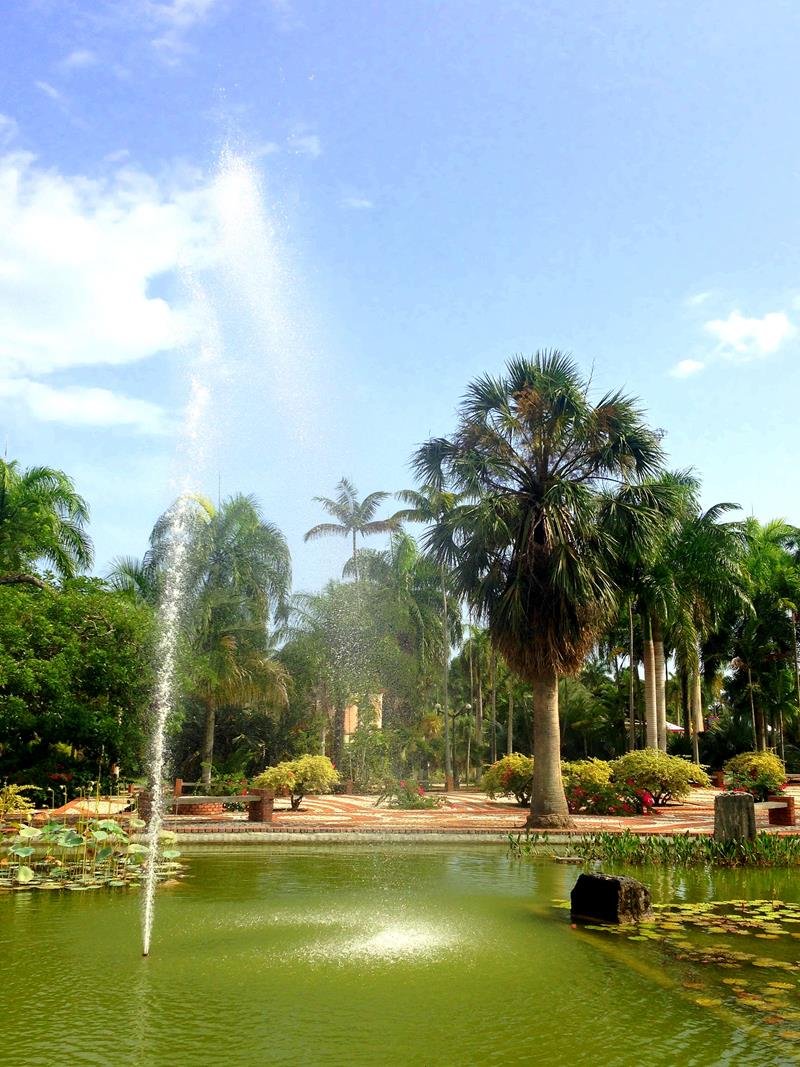 dominikanische_republik_488_santo_domingo_botanischer_garten.jpg