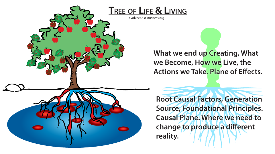 NL-Tree-of-Lifee64f9.png