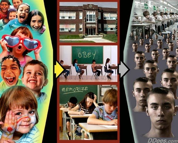 dees-govt-schoolab5ab.jpg