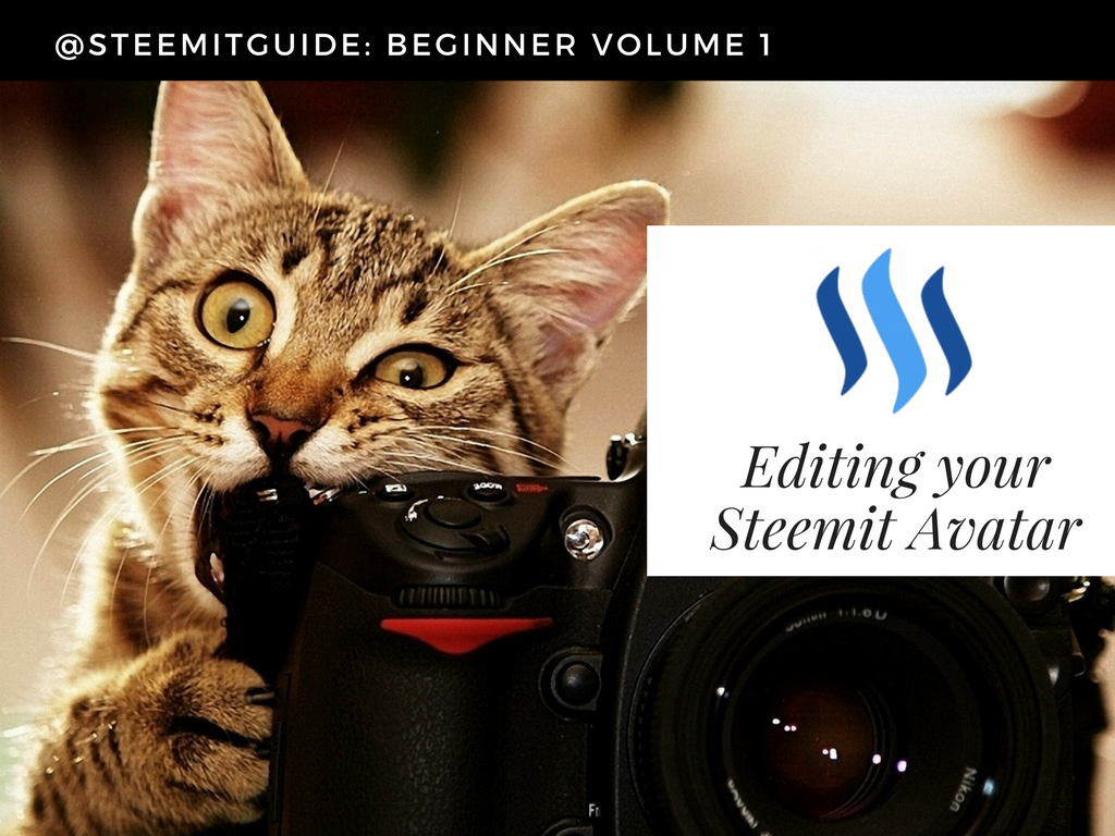 SteemitGUIDE1f829a.png