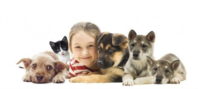 How To Maintain Proper Hygiene In Pets When You Have Children.