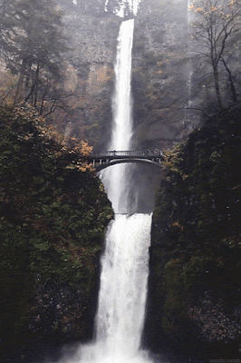 Unduh 81 Koleksi Background Pemandangan Gif HD Terbaru