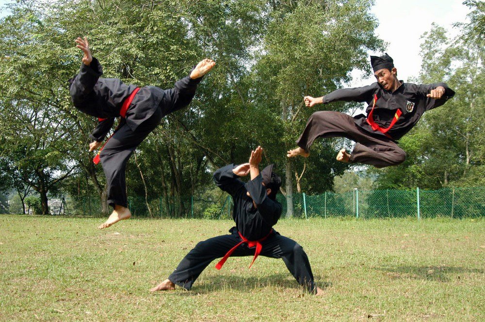  Pencak  Silat  Indonesian  Deadly Martial Arts part 1 