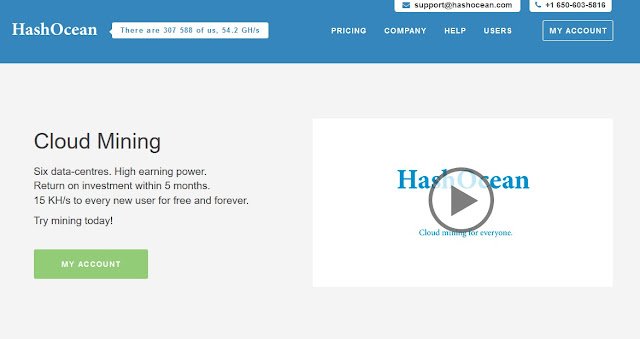 Resultado de imagem para hashocean