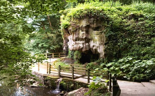 penemuan hewan aneh di hutan sumbawa Beberapa Tempat Aneh Di Dunia Steemkr