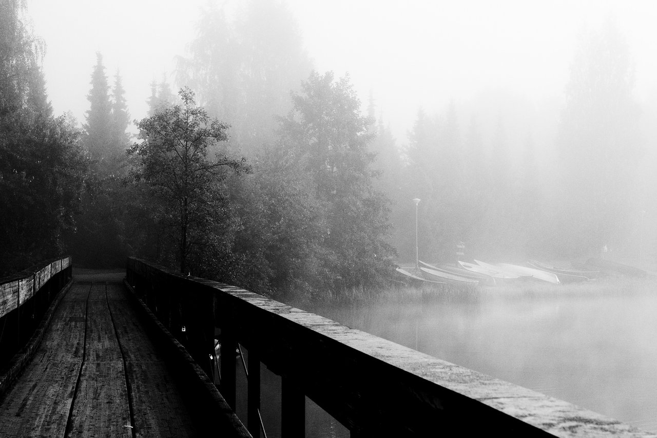 Foggy morning (another one)